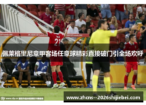 佩莱格里尼意甲客场任意球精彩直接破门引全场欢呼