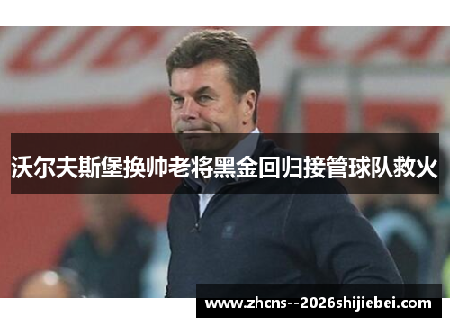 沃尔夫斯堡换帅老将黑金回归接管球队救火