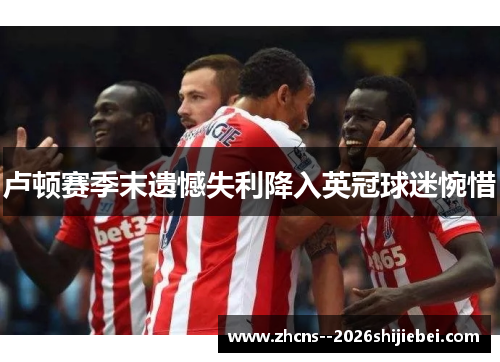 卢顿赛季末遗憾失利降入英冠球迷惋惜